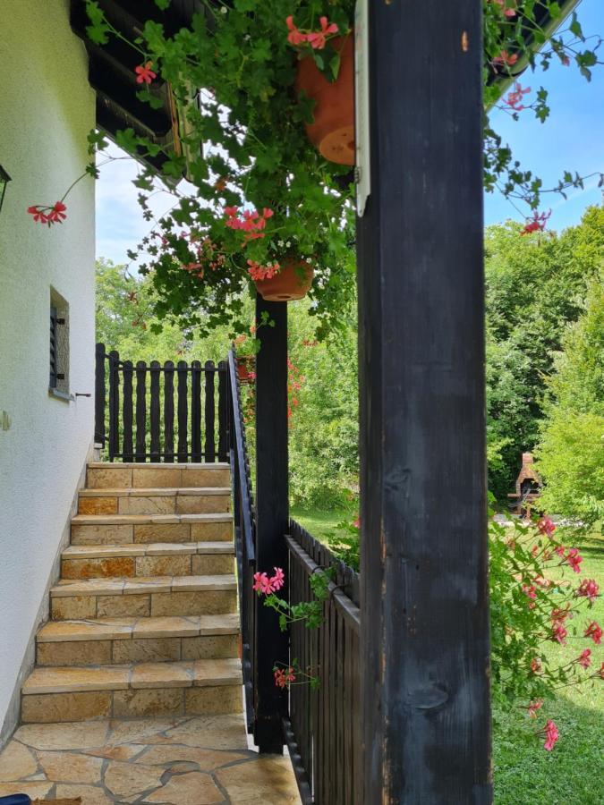 Apartman Poznanovic Apartamento Rakovica Exterior foto